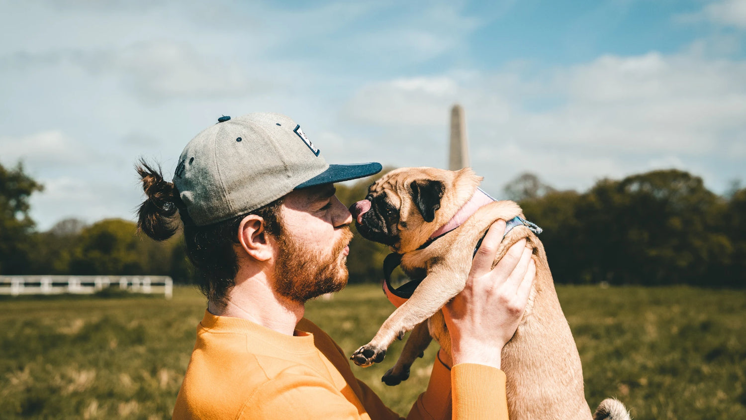 For Dogs