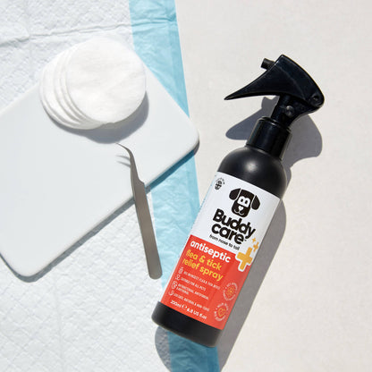 Buddycare - Pet Antiseptic Flea & Tick Relief Spray - 6.76 fl oz