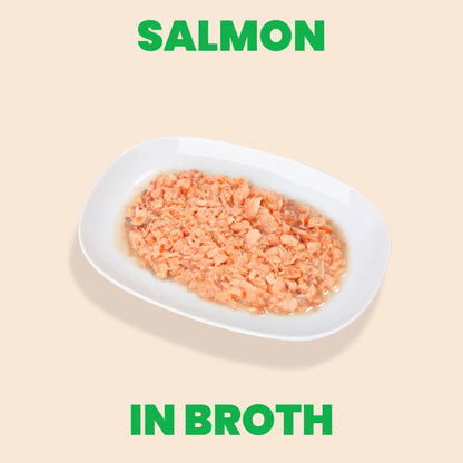 Almo Nature HQS Natural Cat Food - Salmon In Broth 70g