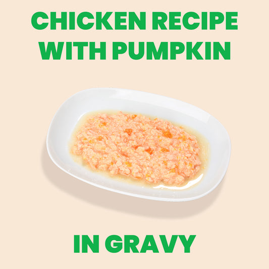 Almo Nature HQS Cat Food - Chicken With Pumpkin In Gravy 70g