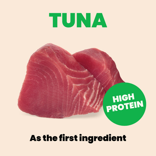 Almo Nature HQS Natural Mousse - Tuna Recipe With Zucchini In Gravy 70g