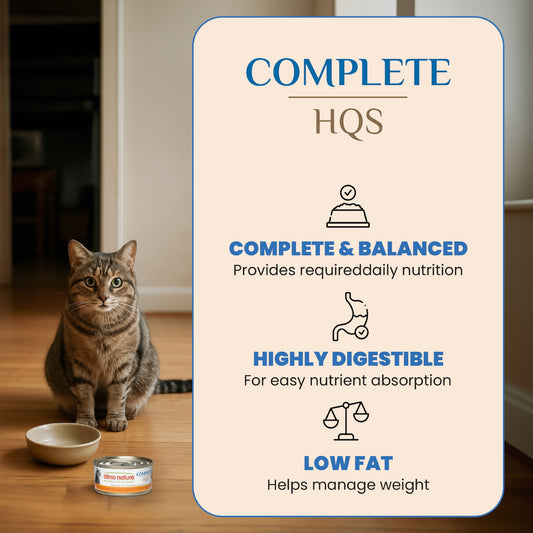 Almo Nature HQS Complete Cat Food - Tuna Recipe With Ocean Fish And Pumpkin In Gravy 70g