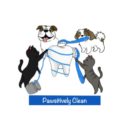 Cosmetic Teeth Cleaning Service