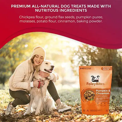 Foley's Bites Pumpkin & Cinnamon Dog Treats 400g