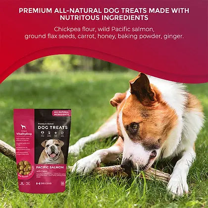 Foley's Vitality Pacific Salmon Honey Carrots Dog Treats 400g