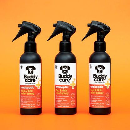 Buddycare - Pet Antiseptic Flea & Tick Relief Spray - 6.76 fl oz
