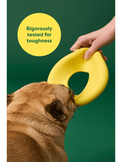 Earth Rated Flying Dog Toy