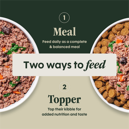 Instinct Frozen FreshRaw Meals Grass-Fed Lamb Recipe Dog Food 226g