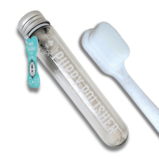 Wag & Bright Puppy Polisher Eco Toothbrush - Medium