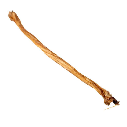 9-14" Lamb Pizzle Stick Single