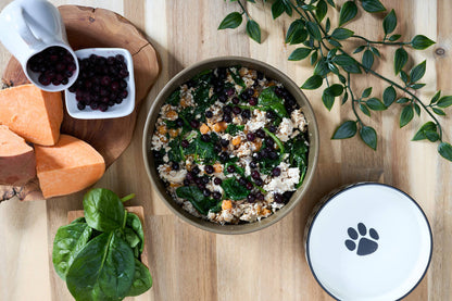 Joey's Raw Gently Steamed Chicken Delight Dog Food