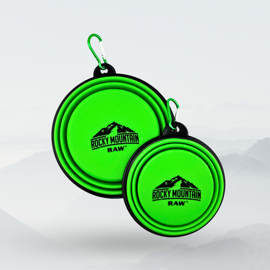Green Foldable Dog Bowl