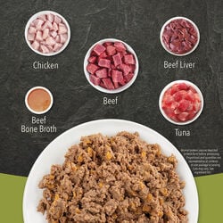 ACANA Cat Wet Food Beef Recipe in Bone Broth 85g