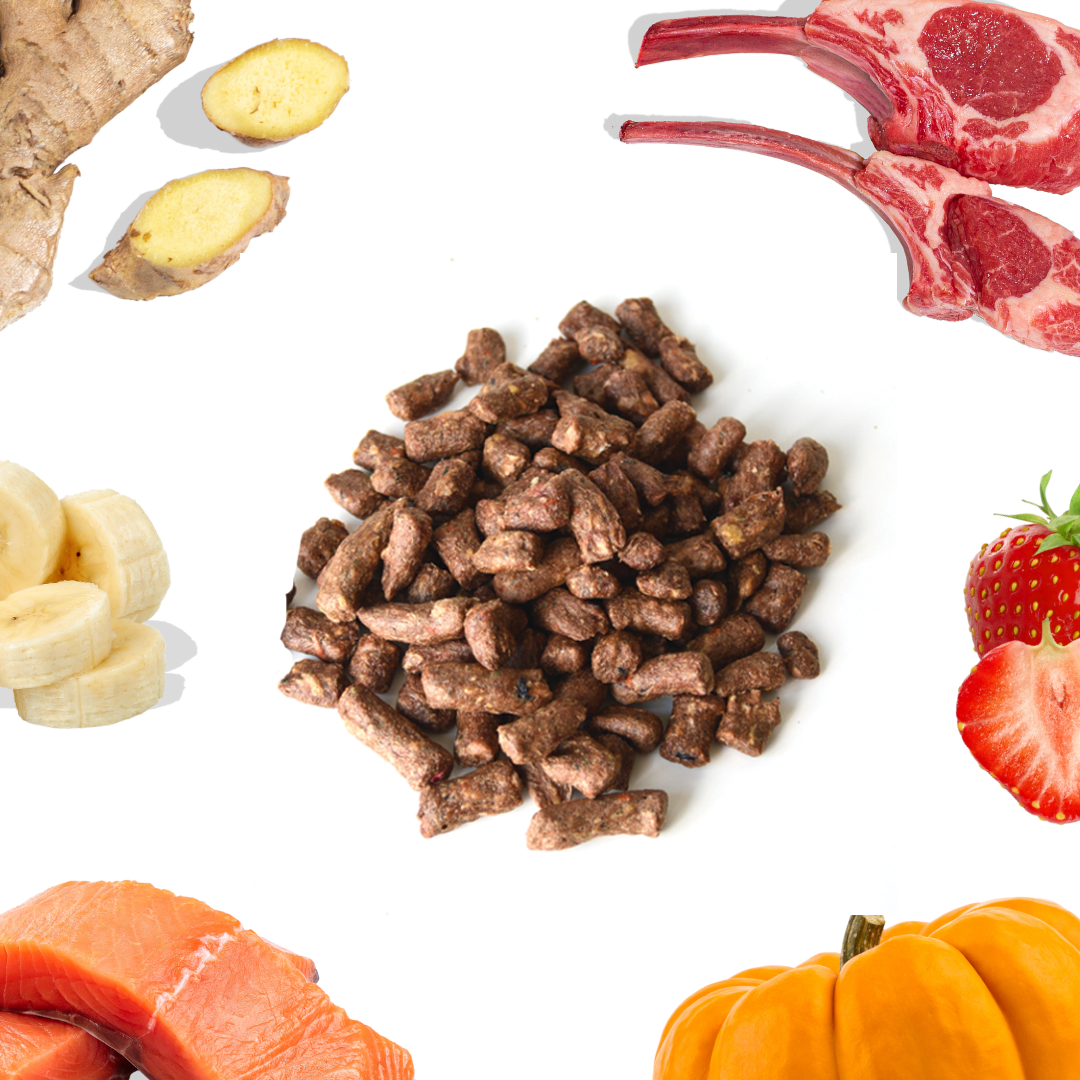 Lamb+Salmon Meal Bites