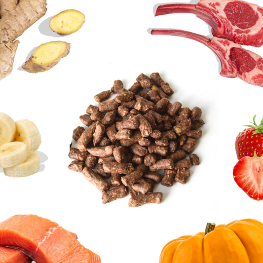 Lamb+Salmon Meal Bites