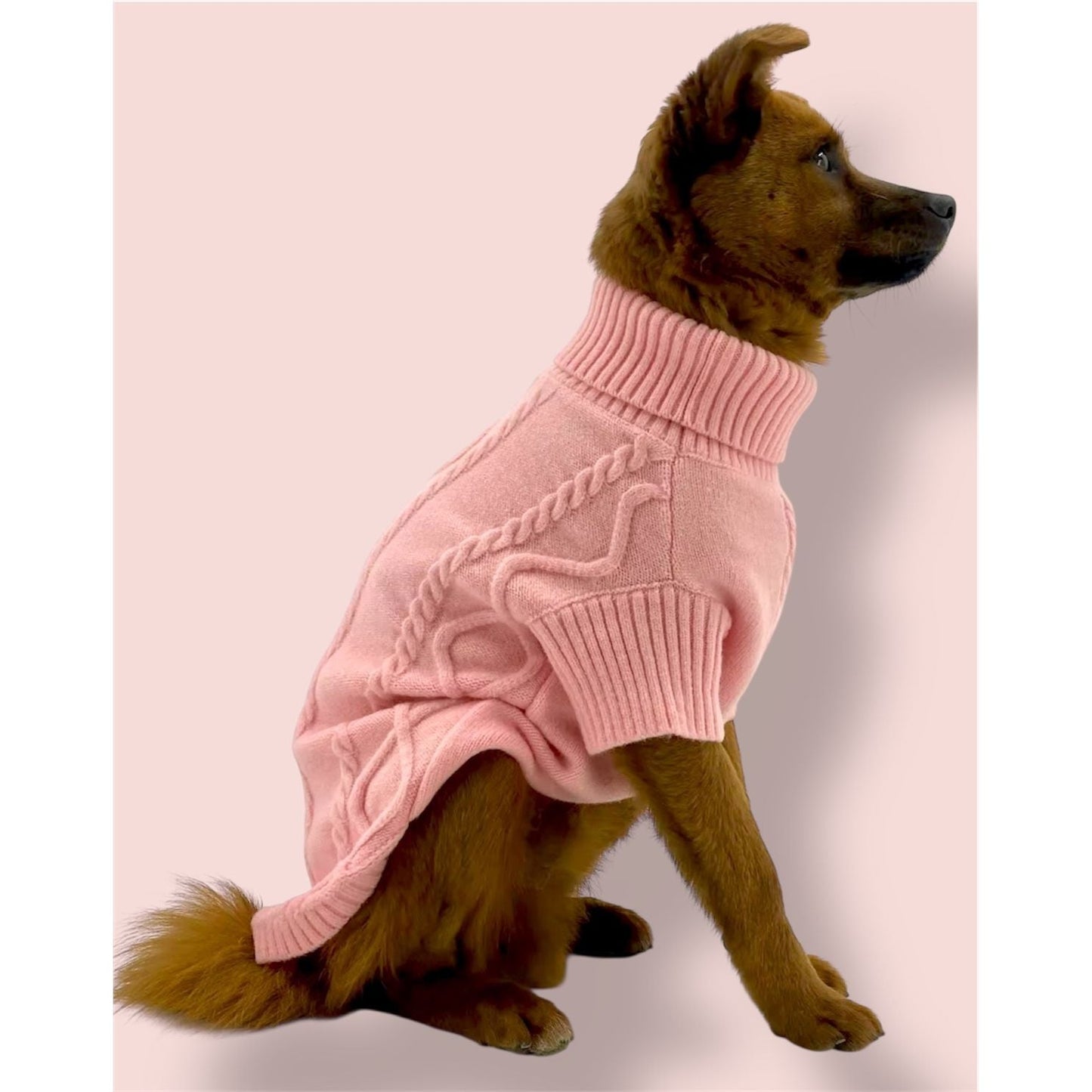 Pet Pink Sweater