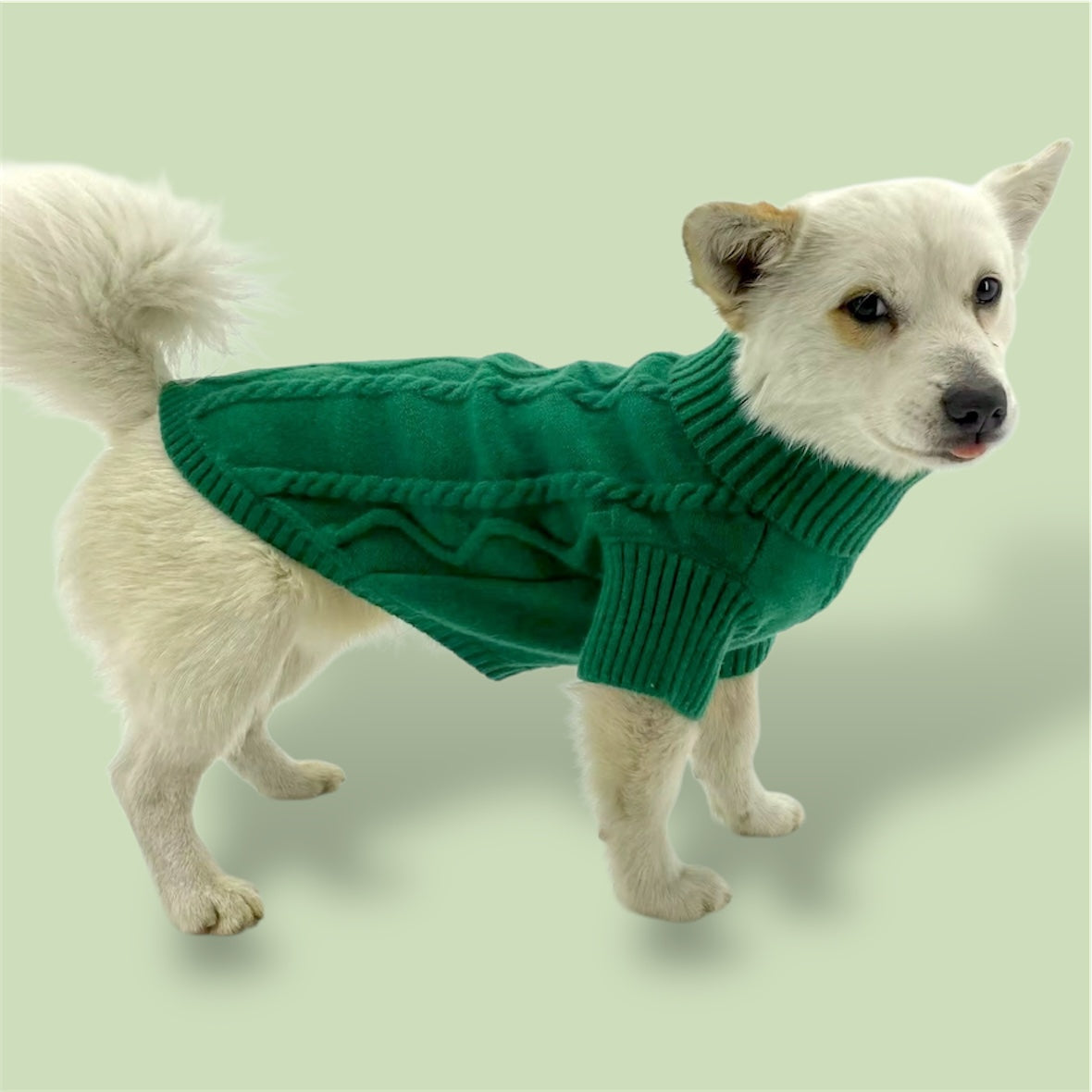 Pet Green Sweater