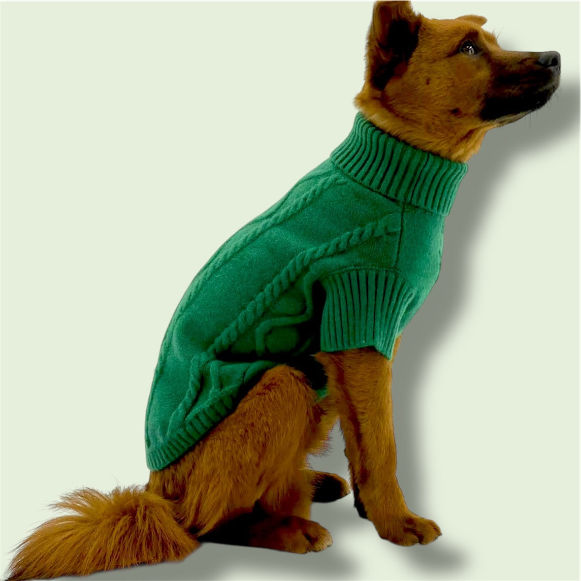 Pet Green Sweater