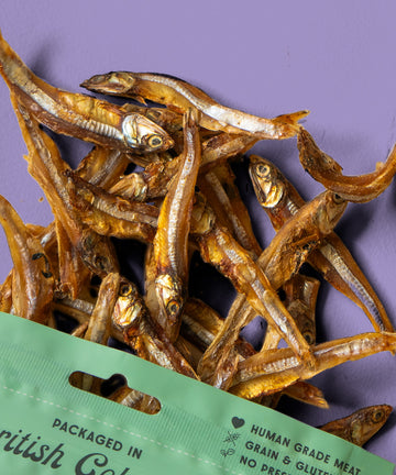 Wild Vibes Sun Dried Sardines Treats 108g