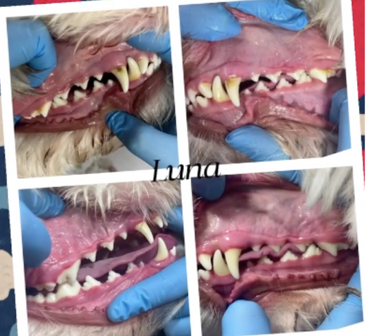 Cosmetic Teeth Cleaning Service