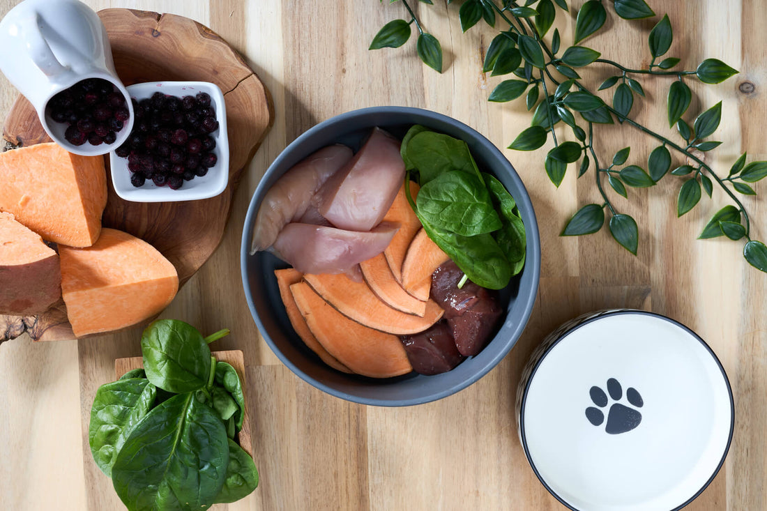 Joey's Raw Gently Steamed Chicken Delight Dog Food