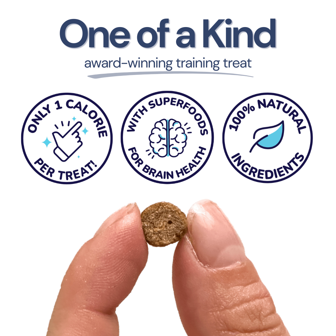 Salmon Mini Training Treats