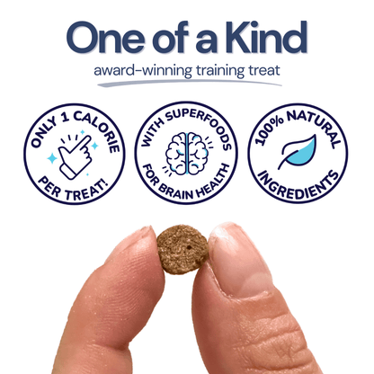 Beef Mini Training Treats