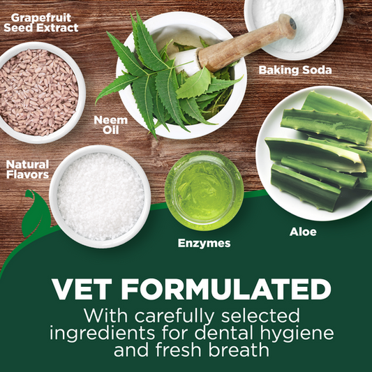 Vets Best Enzymatic Dental Toothpaste Dog 3.5oz