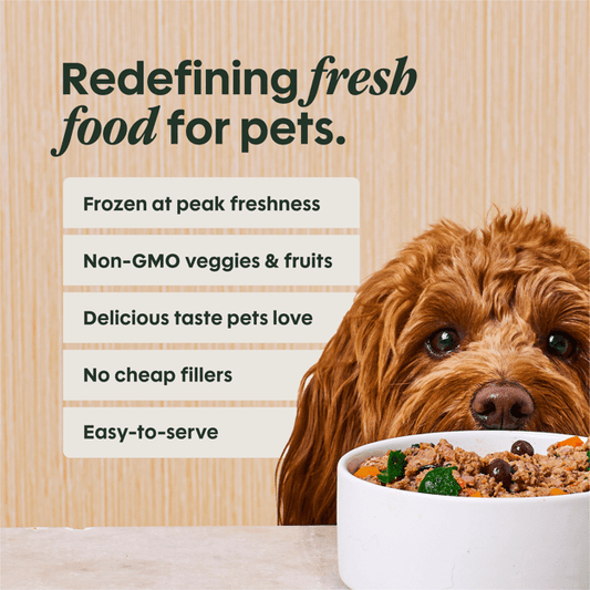 Instinct Frozen FreshRaw Meals Grass-Fed Chicken Recipe Dog Food 226g