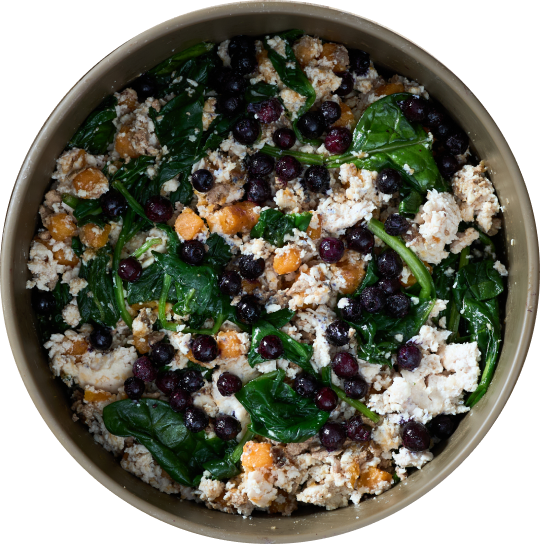 Joey's Raw Gently Steamed Chicken Delight Dog Food