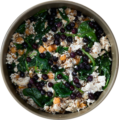 Joey's Raw Gently Steamed Chicken Delight Dog Food