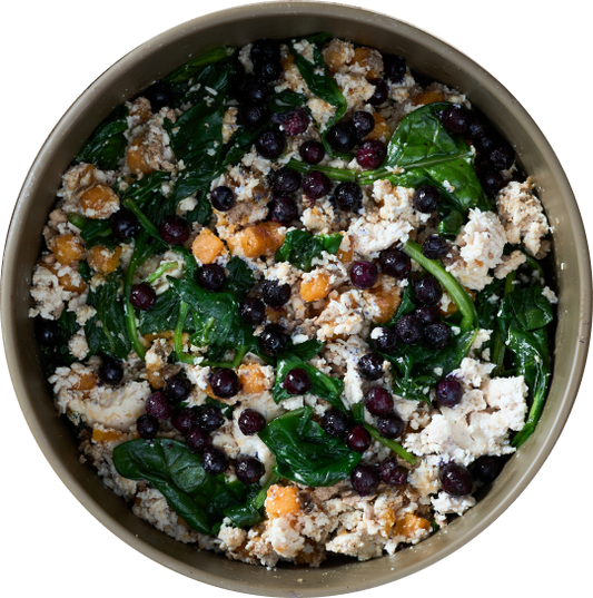 Joey's Raw Gently Steamed Chicken Delight Dog Food