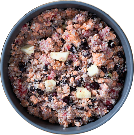 Joey's Raw Gently Steamed Salmon Bowl Dog Food