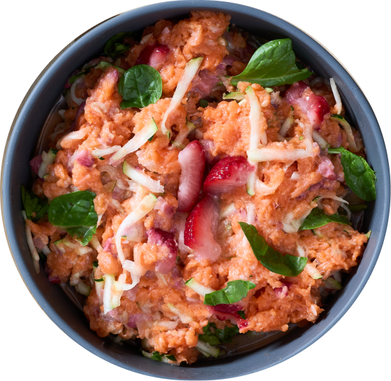 Joey's Raw Salmon Bowl Dog Raw Food