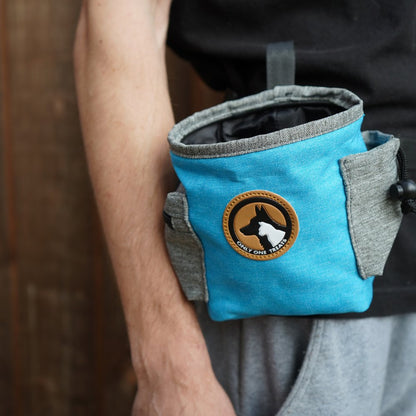 Medium Treat Pouch - Blue