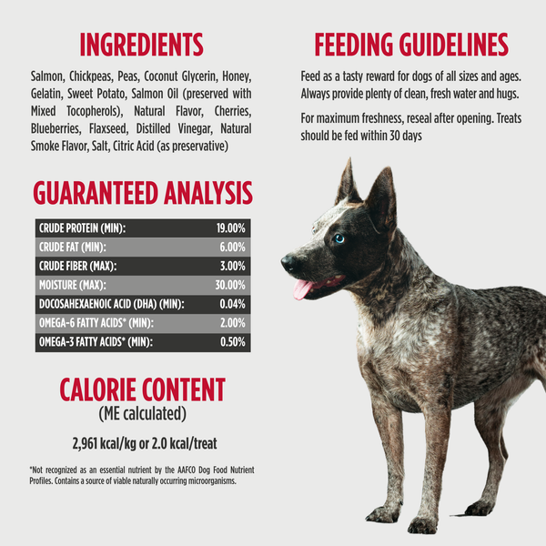 Nulo Training Treats Salmon Recipe 4oz