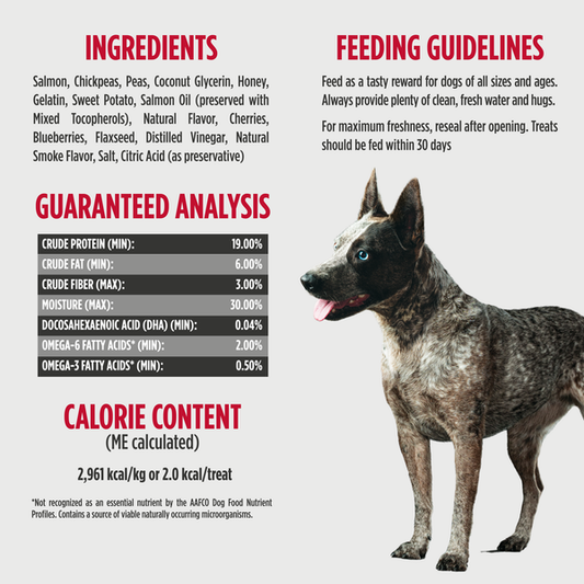Nulo Training Treats Salmon Recipe 4oz