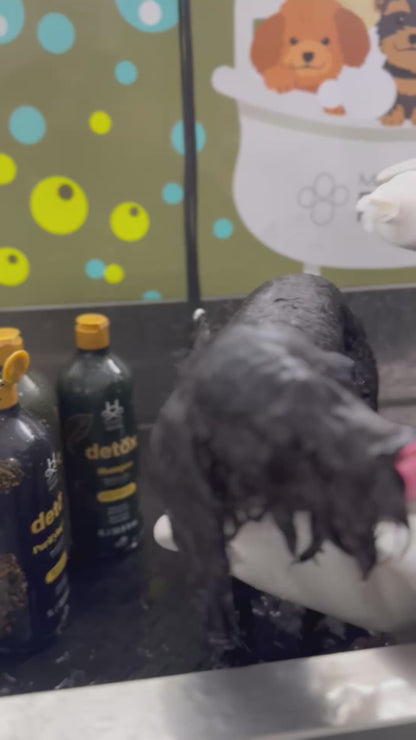 Add-on Grooming Detox Cleansing & Protection Skin and Coat Treatment