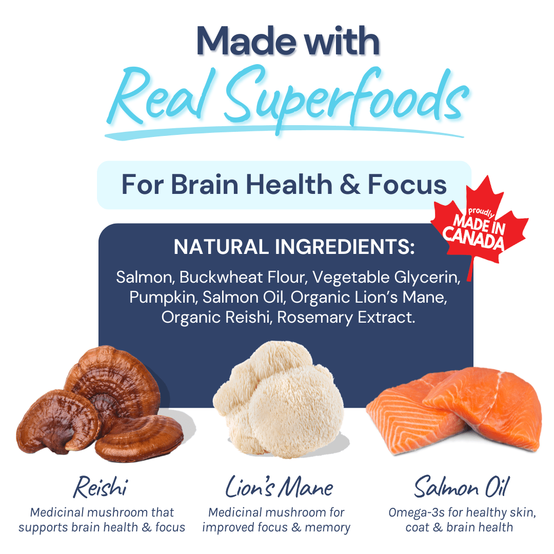 Salmon Mini Training Treats