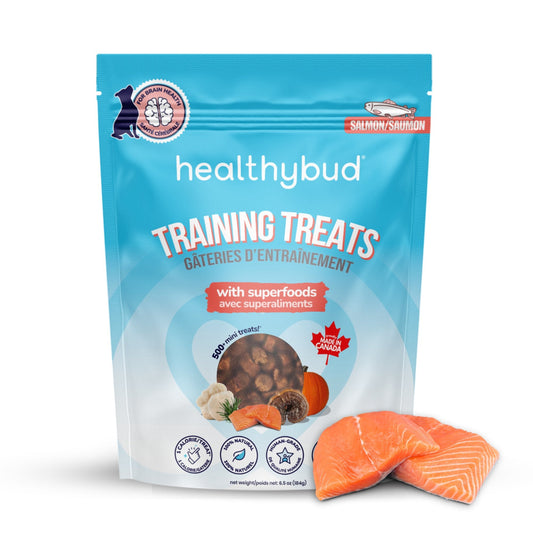 Salmon Mini Training Treats