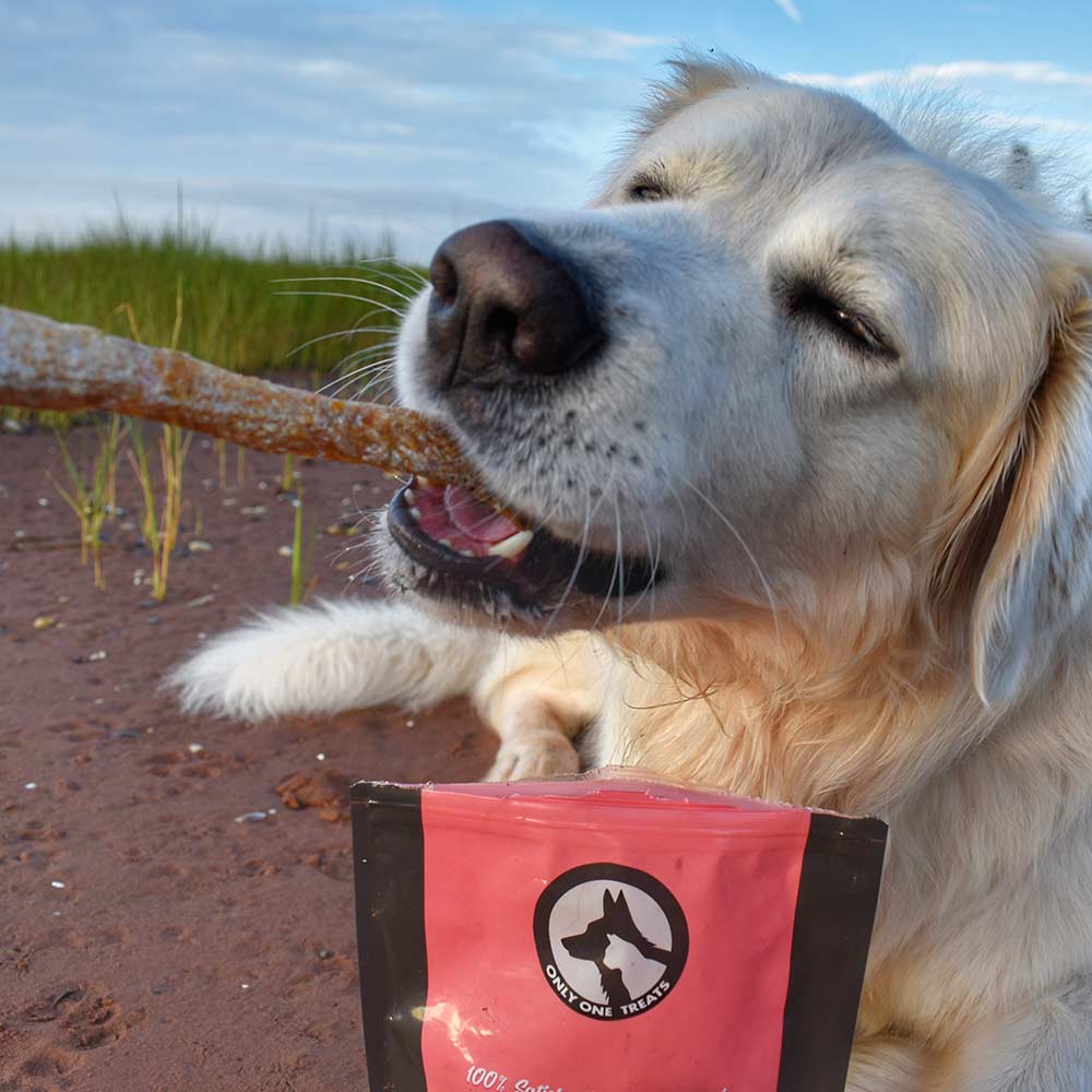 Salmon Skin Strips 85g