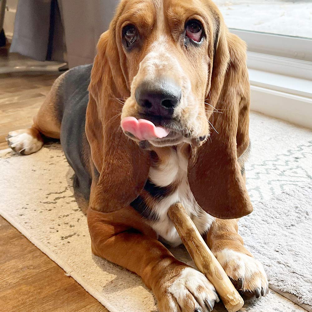 Small Coffee Wood Chew